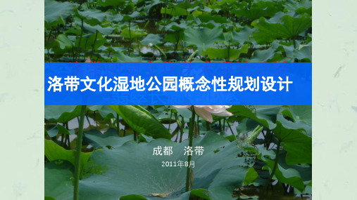 古镇文化湿地项目策划---洛带文化湿地公园课件