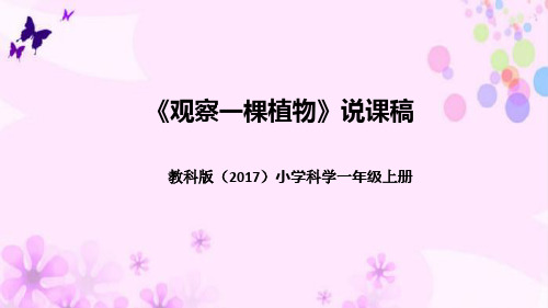 教科版(2017版)科学一年上册《观察一棵植物》说课稿(附反思、板书)课件