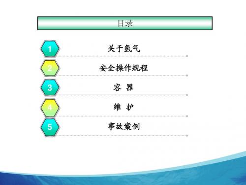 电解水制氢装置安全操作注意事项
