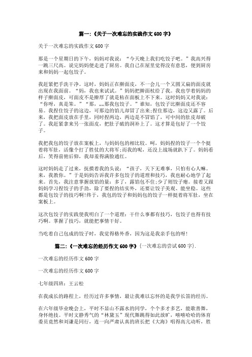 一次难忘的尝试600字