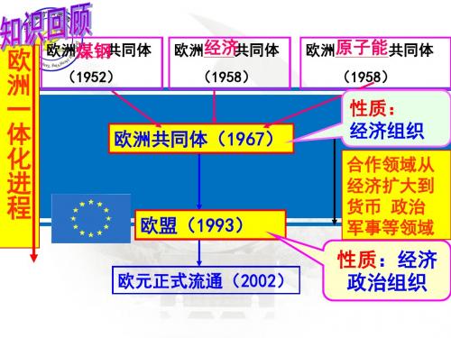 高一岳麓版历史必修二教学课件  第25课 亚洲和美洲经济区域集团化(共29张PPT)