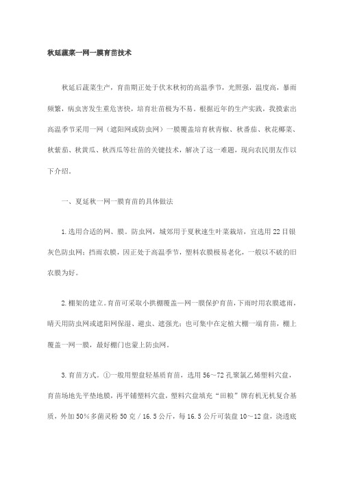 秋延蔬菜一网一膜育苗技术