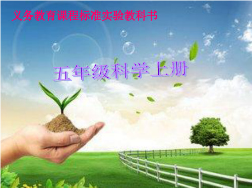 五年级上册科学课件 - 3.4 土壤中有什么｜教科版 (共19张PPT)