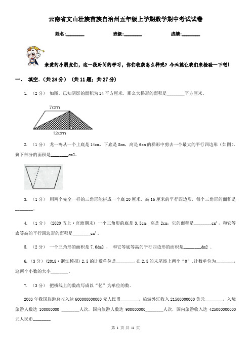 云南省文山壮族苗族自治州五年级上学期数学期中考试试卷