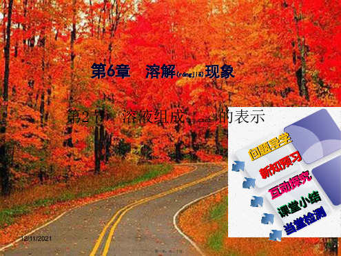 九年级化学下册 6.2 溶液组成的表示课件_1