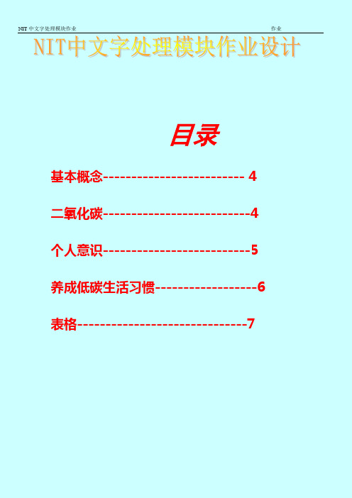 NIT文字处理大作业