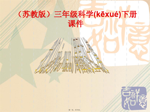 小学三年级科学下册课件《我们周围的土壤》课件
