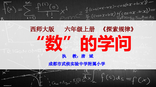 六年级上册数学课件 探索规律(数的学问)西师大版(共19张PPT)