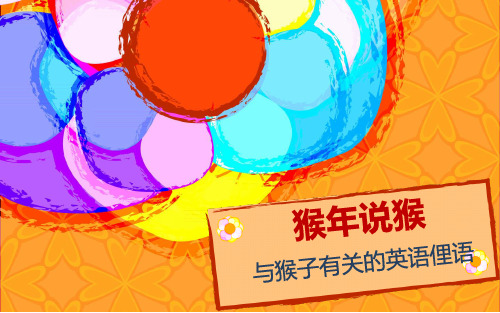 猴年说猴：与猴子有关的英语俚语