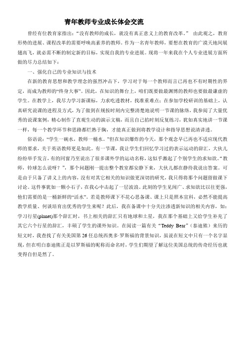 青年教师专业成长体会交流