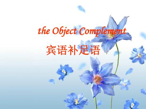 高中英语语法——宾语补足语(20张PPT)
