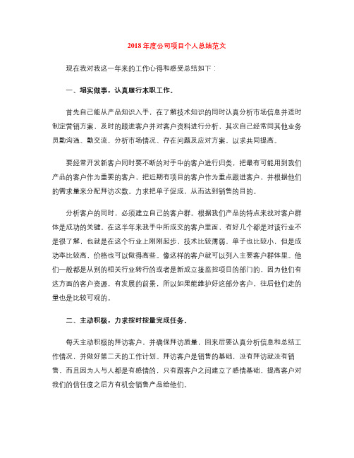 2018年度公司项目个人总结范文
