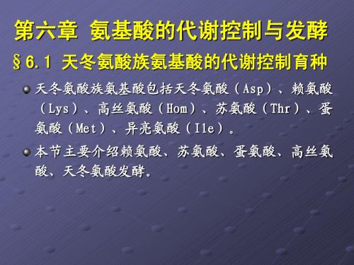 第六章  氨基酸的代谢控制与发酵