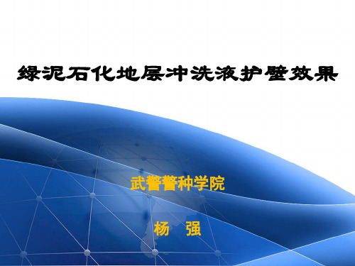 绿泥石化冲洗液护壁效果(杨强)