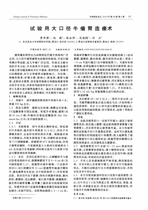 试验用大口径牛瘤胃造瘘术