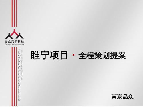 某项目全程策划提案(PPT 67页)2