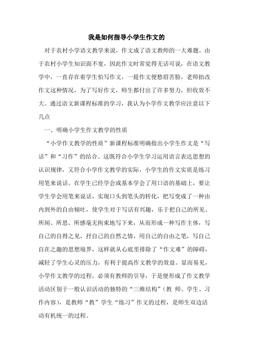 我是如何指导小学生作文[论文]