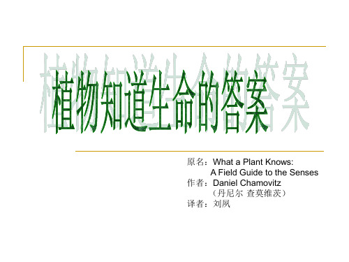 植物知道生命的答案