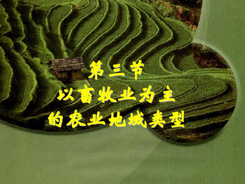 【最新】以畜牧业为主的农业地域类型ppt课件