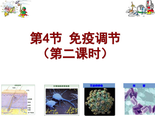 免疫调节做课(带动画)PPT课件