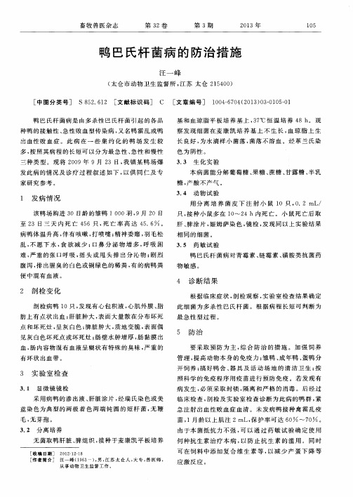 鸭巴氏杆菌病的防治措施