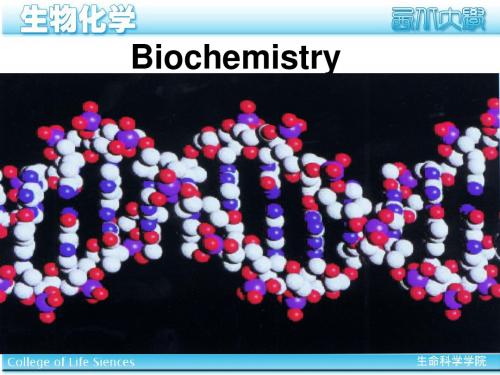 生物化学I 绪论