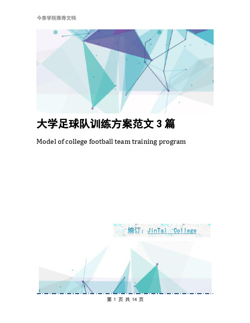 大学足球队训练方案范文3篇