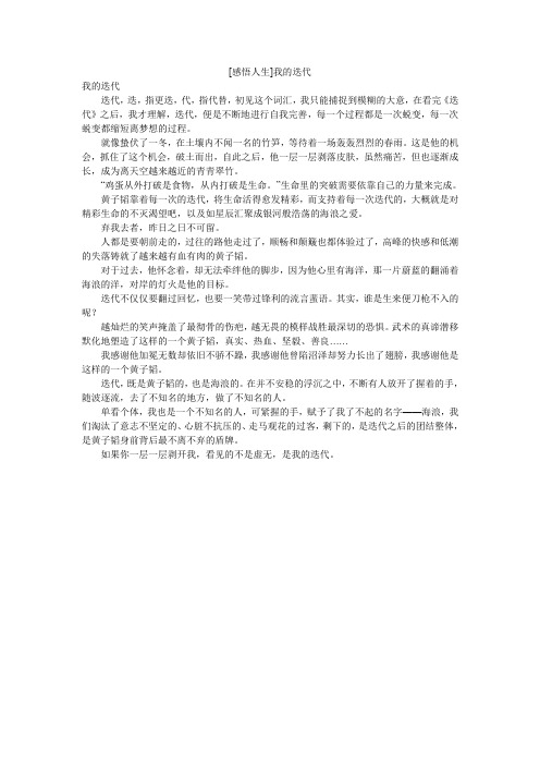 [感悟人生]我的迭代