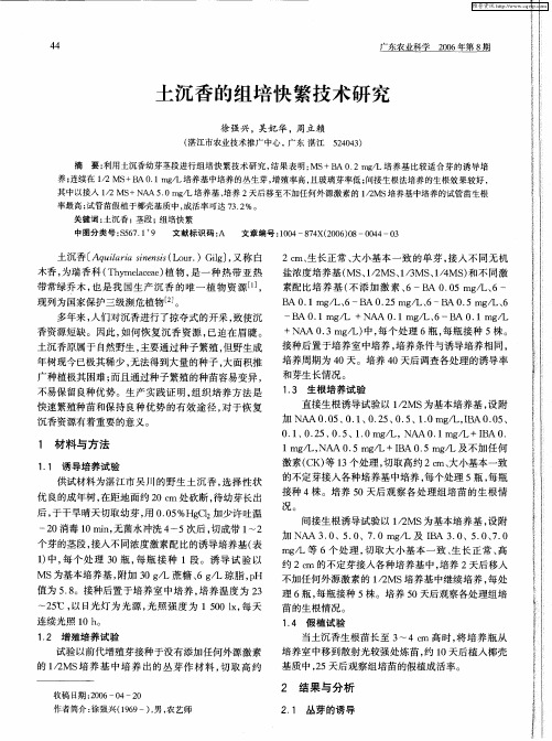 土沉香的组培快繁技术研究
