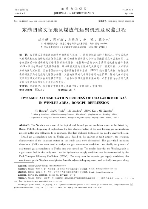 东濮凹陷文留地区煤成气运聚机理及成藏过程