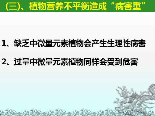 中微量元素缺乏病害PPT课件