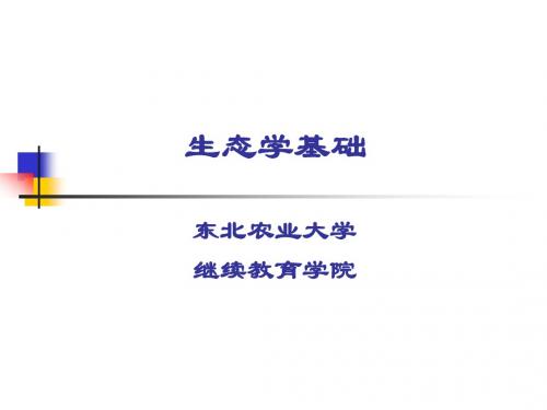 生态学基础学习教案