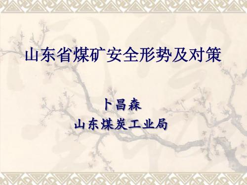 山东省煤矿安全形势及对策-中文1