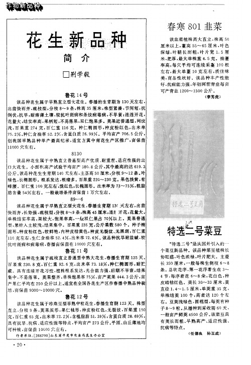 花生新品种简介