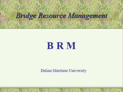 BRM教学文件