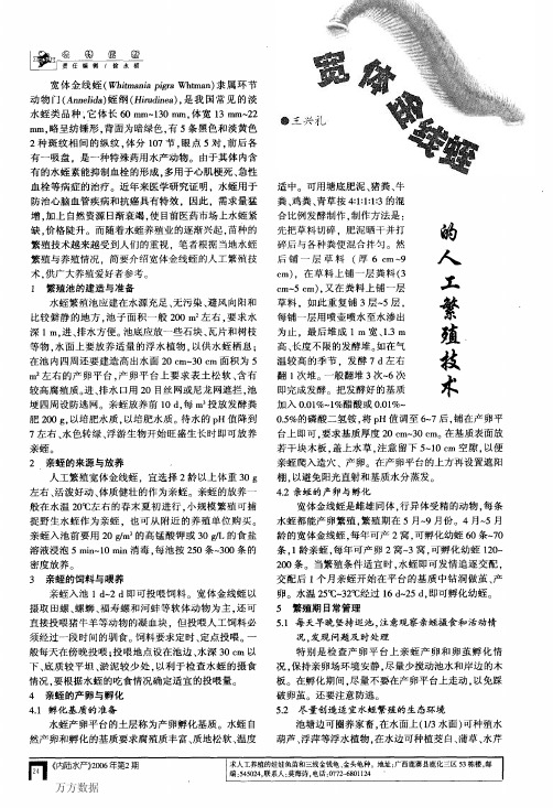 宽体金线蛭的人工繁殖技术1