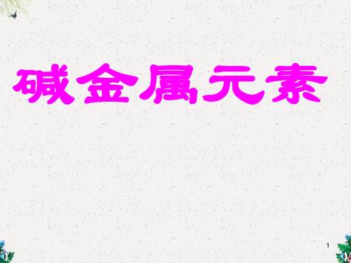 高二化学精品课件 碱金属元素