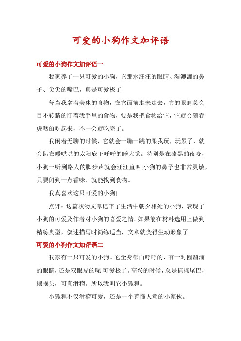 可爱的小狗作文加评语