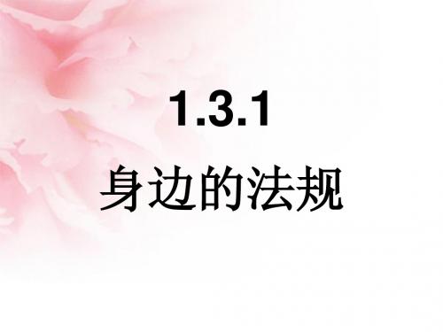 1.3.1身边的法规