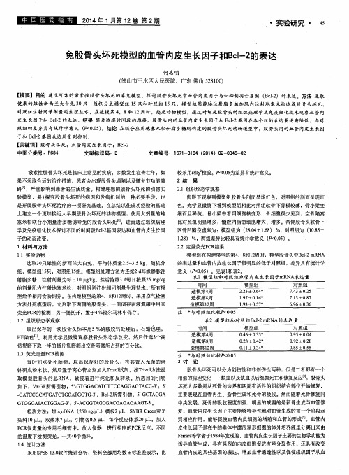 兔股骨头坏死模型的血管内皮生长因子和Bcl-2的表达
