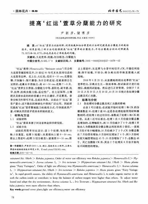 提高‘红运’萱草分蘖能力的研究