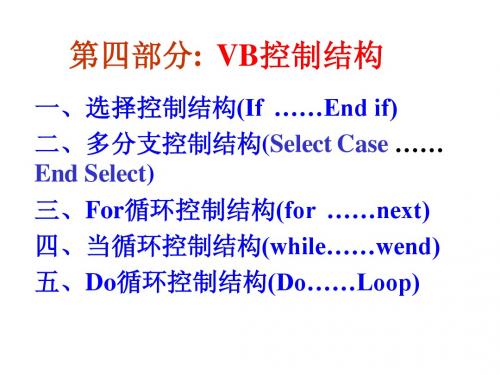 计算机vb二级经典课件