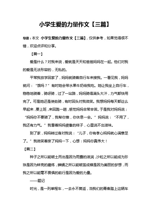 小学生爱的力量作文【三篇】