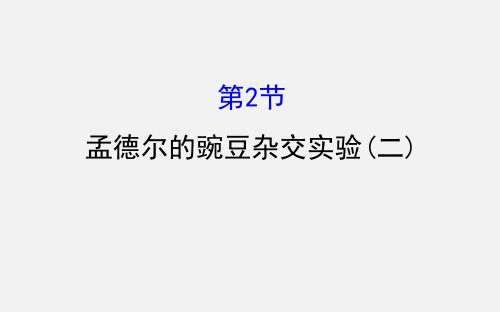 高考生物 一轮复习 第1章 遗传因子的发现 第2节 孟德尔的豌豆杂交实验(二) 新人教必修2 (2)