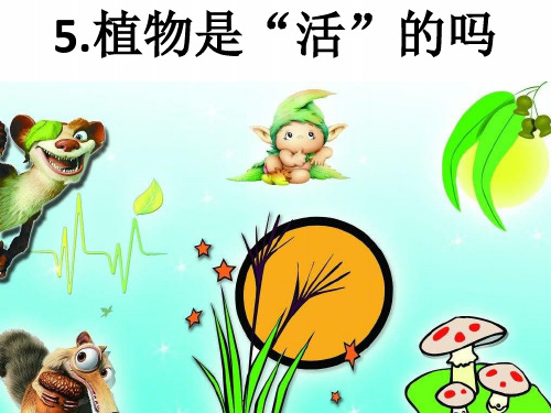 最新教科版一年级科学上册《植物是“活”的吗》精品课件