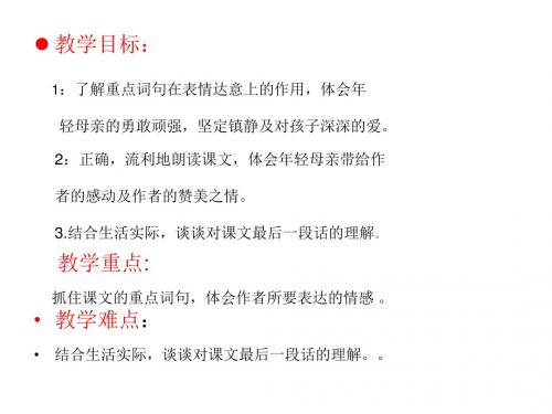 在急流中课件
