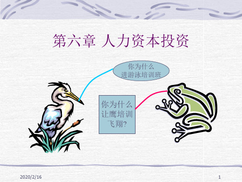 人力资本投资ppt课件