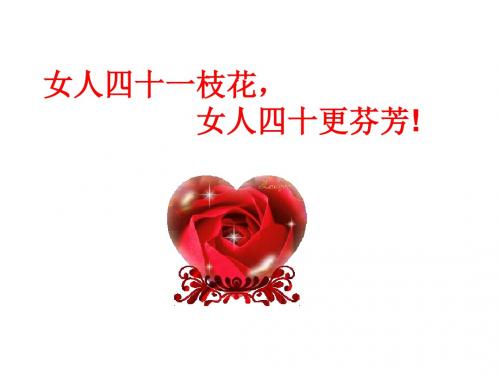 女人四十一枝花,