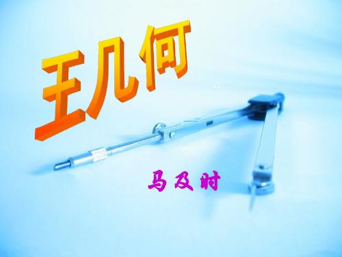 《王几何》ppt课件(15页)