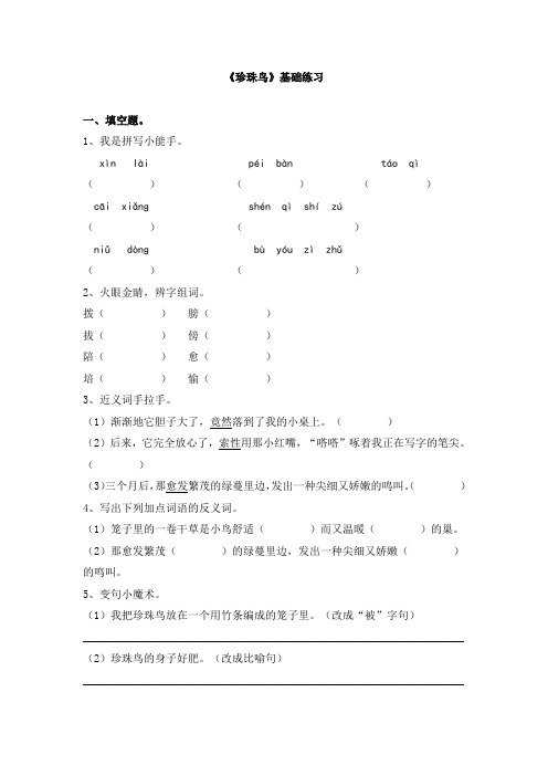 21《珍珠鸟》基础练习